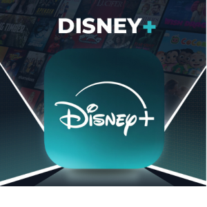DISNEY SHARED ACCOUNT 6 MONTHS
